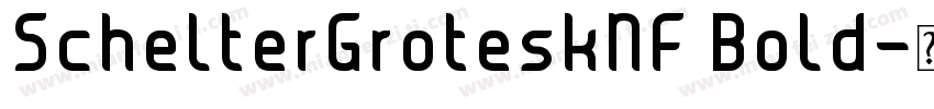 SchelterGroteskNF Bold字体转换